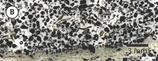 thin section