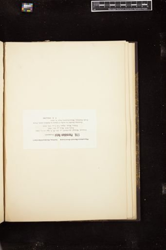Phormidium retzii