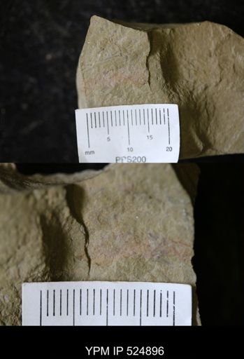 Problematica