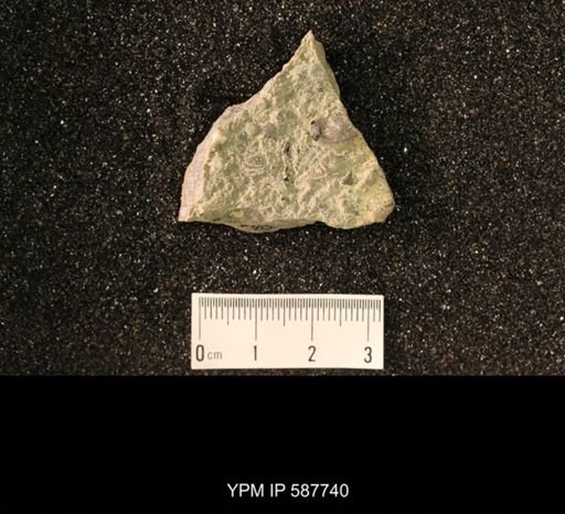 Brachyprion anticostiense