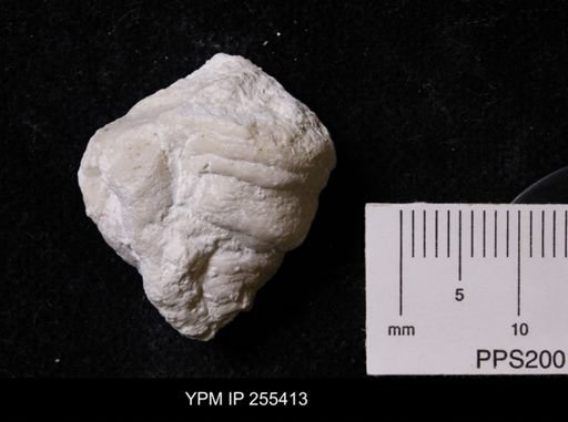 Virgola?