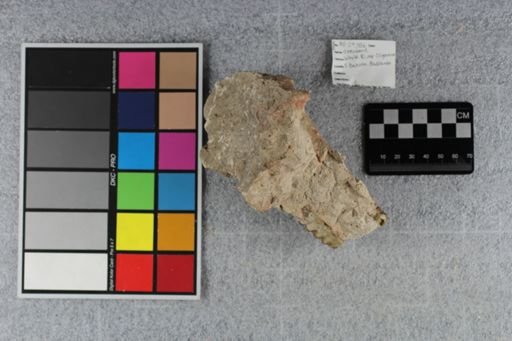 Oreodontidae