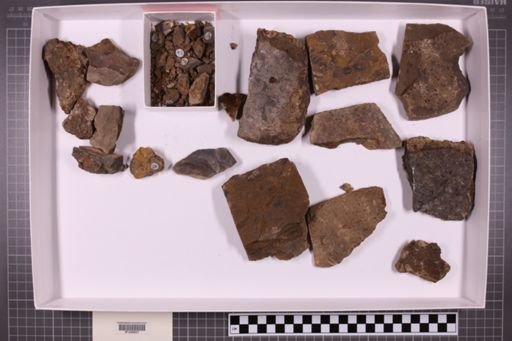 mixed taxa, stratigraphic collection