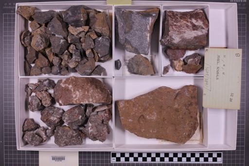 mixed taxa, stratigraphic collection