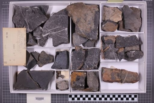 mixed taxa, stratigraphic collection