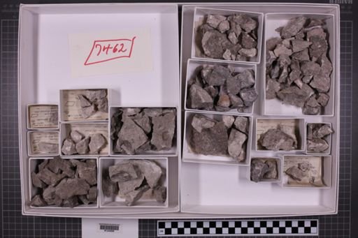mixed taxa, stratigraphic collection