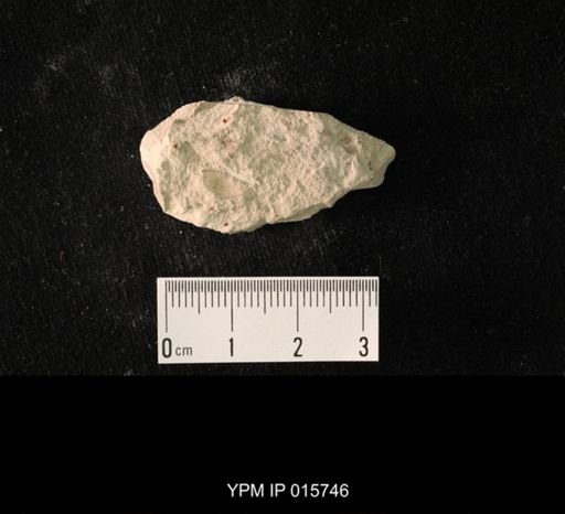 Pycnoblattina