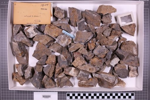 mixed taxa, stratigraphic collection