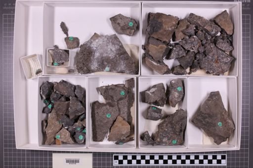 mixed taxa, stratigraphic collection