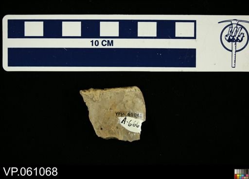 Crocodilia