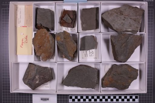 mixed taxa, stratigraphic collection
