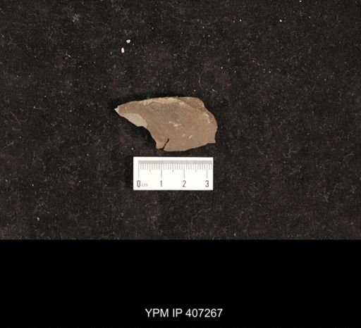 cf. Bellerophon