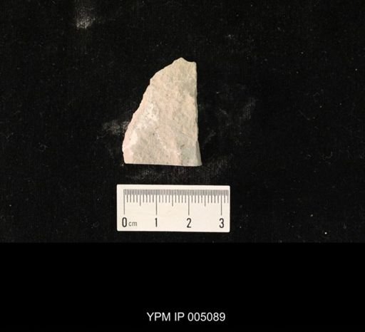 Psocidium kansasense