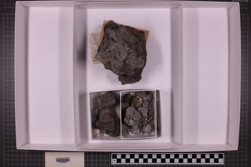 mixed taxa, stratigraphic collection