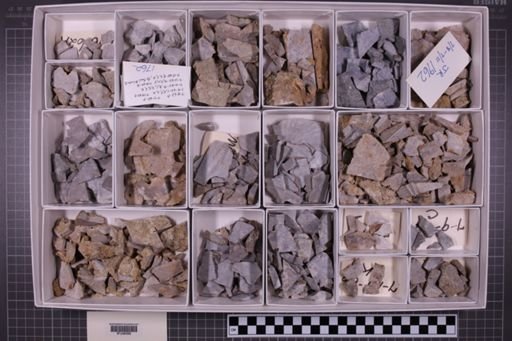 mixed taxa, stratigraphic collection