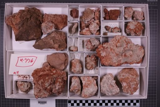 mixed taxa, stratigraphic collection
