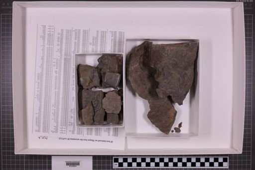 mixed taxa, stratigraphic collection