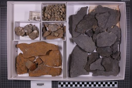 mixed taxa, stratigraphic collection