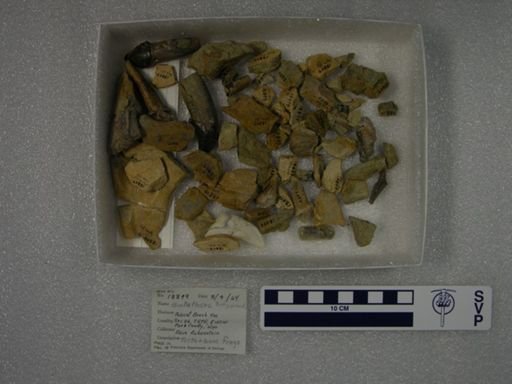 Probathyopsis harrisorum