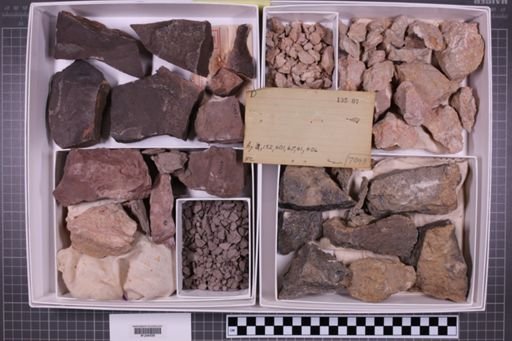 mixed taxa, stratigraphic collection