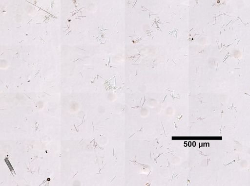 cf. Velinea