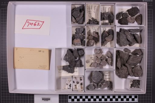 mixed taxa, stratigraphic collection
