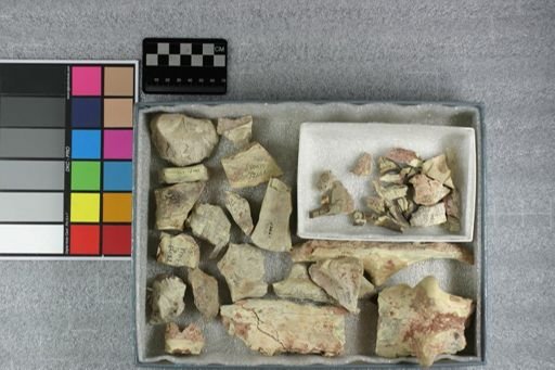 Archaeotherium mortoni