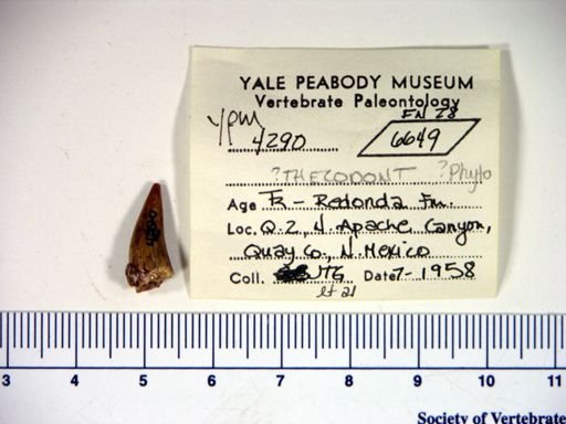 Parasuchidae