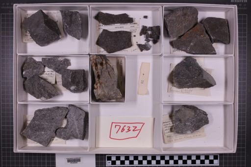 mixed taxa, stratigraphic collection