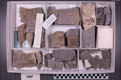mixed taxa, stratigraphic collection