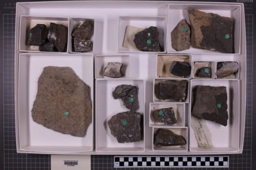 mixed taxa, stratigraphic collection