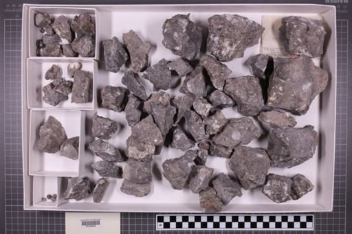 mixed taxa, stratigraphic collection