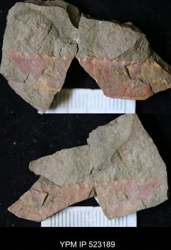 Problematica