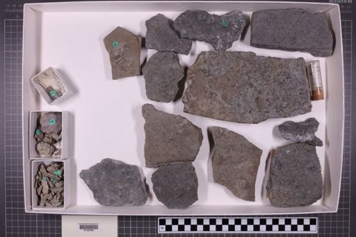 mixed taxa, stratigraphic collection