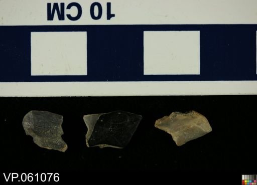Lepisosteus