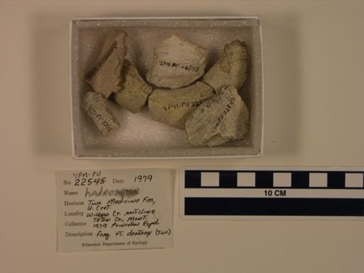 Hadrosauridae