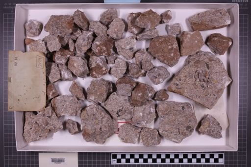 mixed taxa, stratigraphic collection