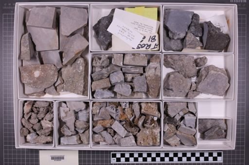 mixed taxa, stratigraphic collection