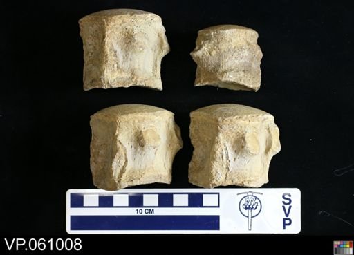 Mosasauridae