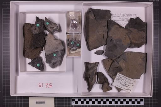 mixed taxa, stratigraphic collection