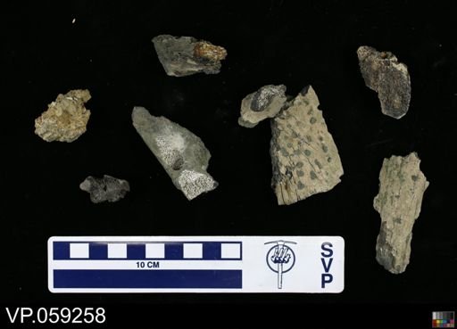 undet. Crocodilia