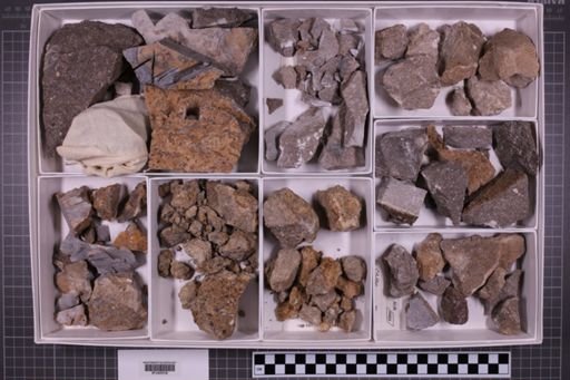 mixed taxa, stratigraphic collection
