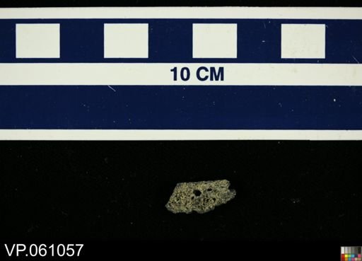 Osteichthyes