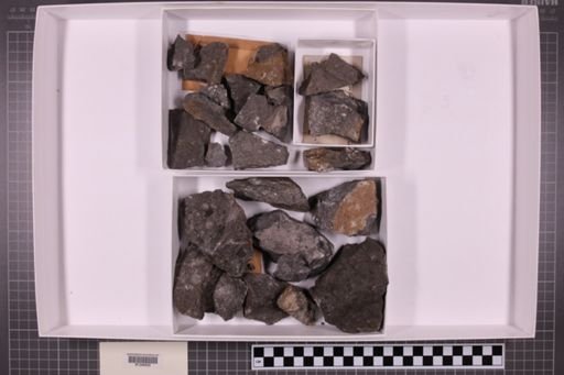 mixed taxa, stratigraphic collection