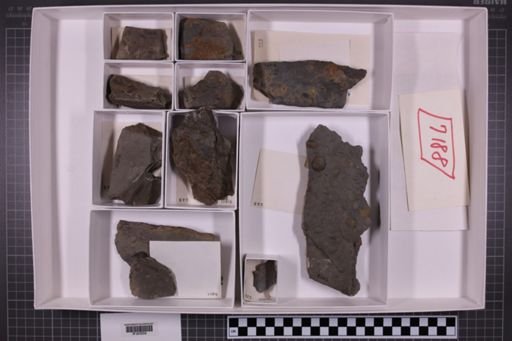 mixed taxa, stratigraphic collection