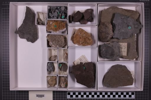mixed taxa, stratigraphic collection