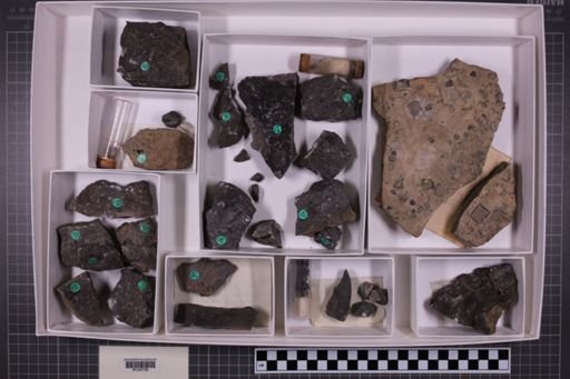 mixed taxa, stratigraphic collection